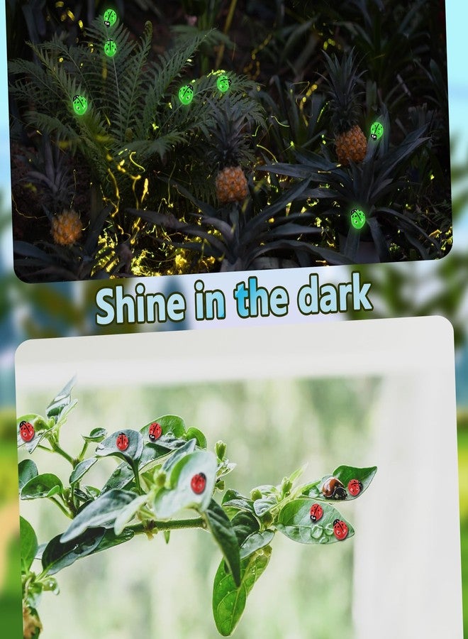 BENOSPACE Luminous Ladybugs Statue, 50Pcs Mini Resin Glow in The Dark Ladybug Luminous Animal Ornament for Dollhouse Fairy Garden Decoration Tiny Ladybug Figurine DIY Craft Micro Landscape Aquarium - Image 3